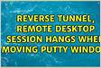 Reverse tunnel, remote desktop session hangs when moving PuTTY window
